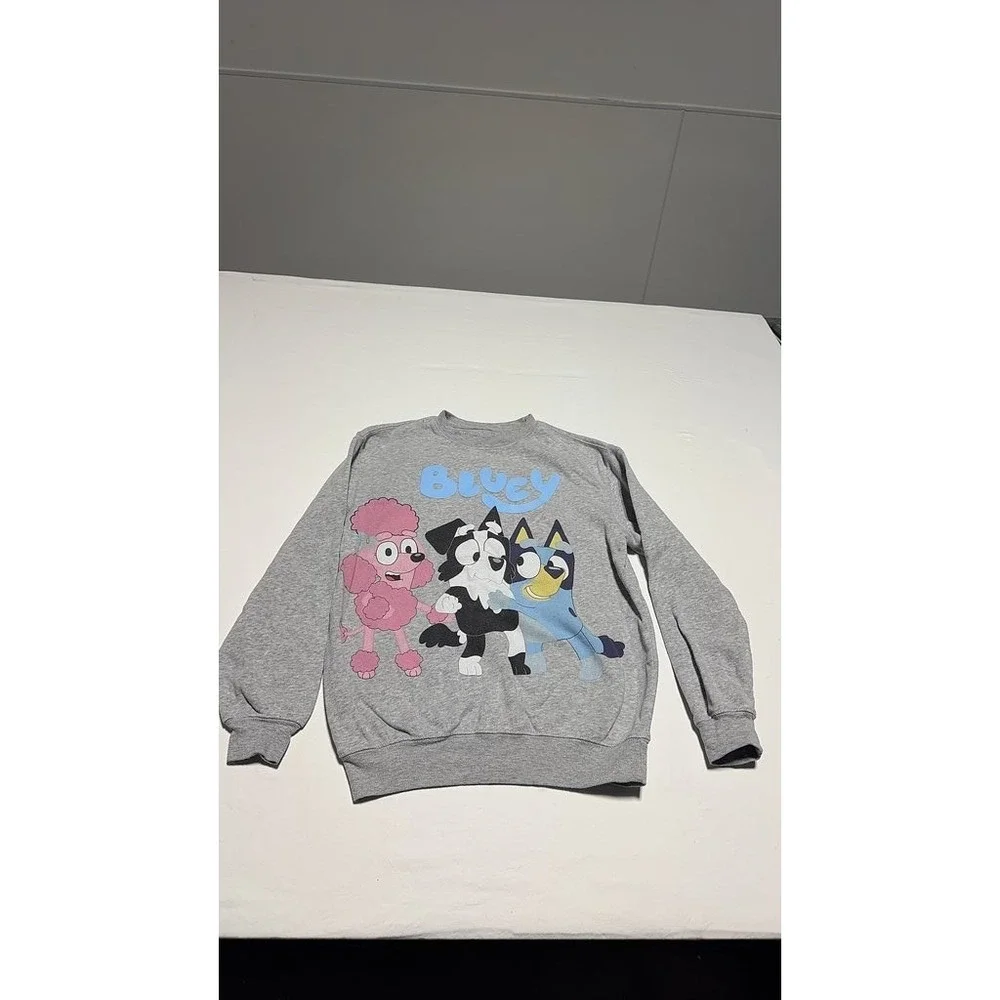 Hybrid Bluey Graphic Kids Sweatshirt Gray Best Buddies Pullover XS